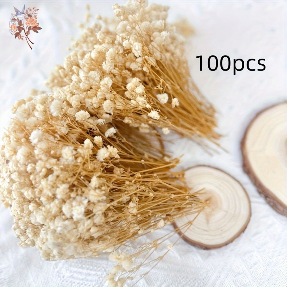 ดอกยิปโซฟิล่าแห้งขนาดเล็ก 100  - Embellish Craft บทวิจารณ์และราคา